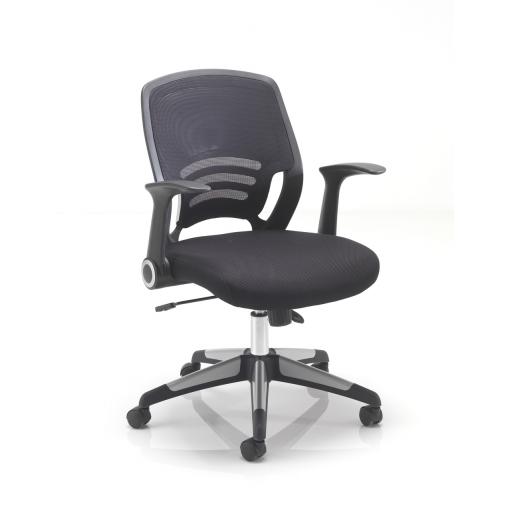 Carbon Executive Mesh Back Chair