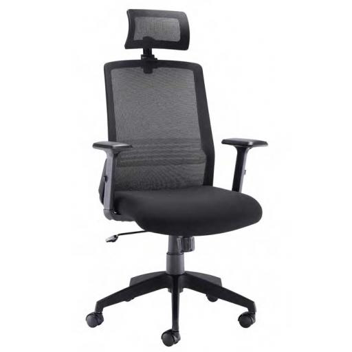 Denali Executive Mesh Back Chair