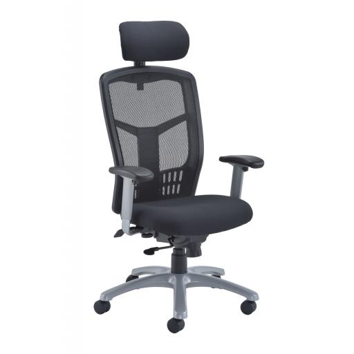 Fonz Mesh Executive Task Chair