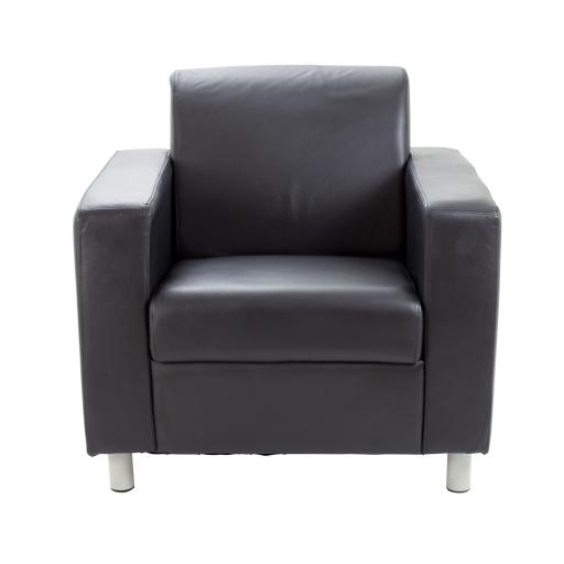 Iceberg Leather Faced armChair